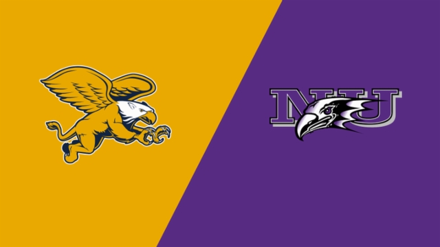 效执行力 效执行力