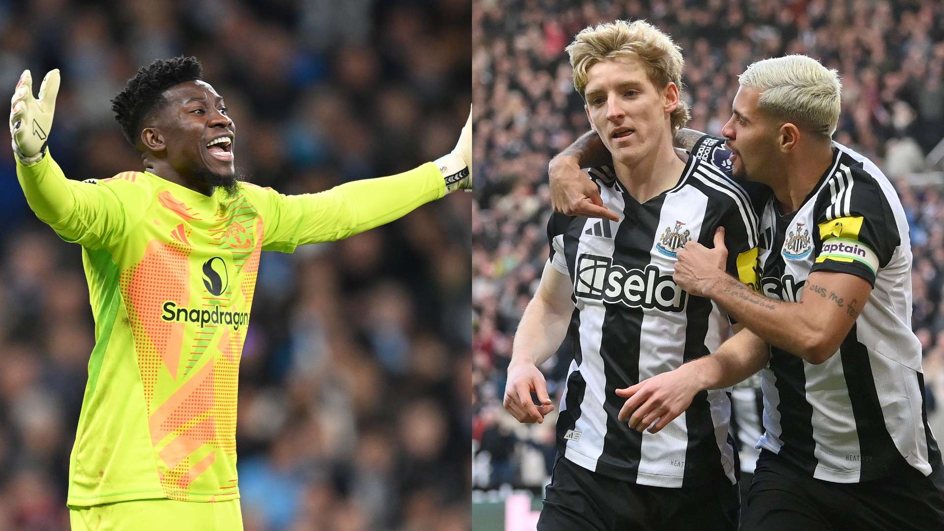 己的状态 己的状态