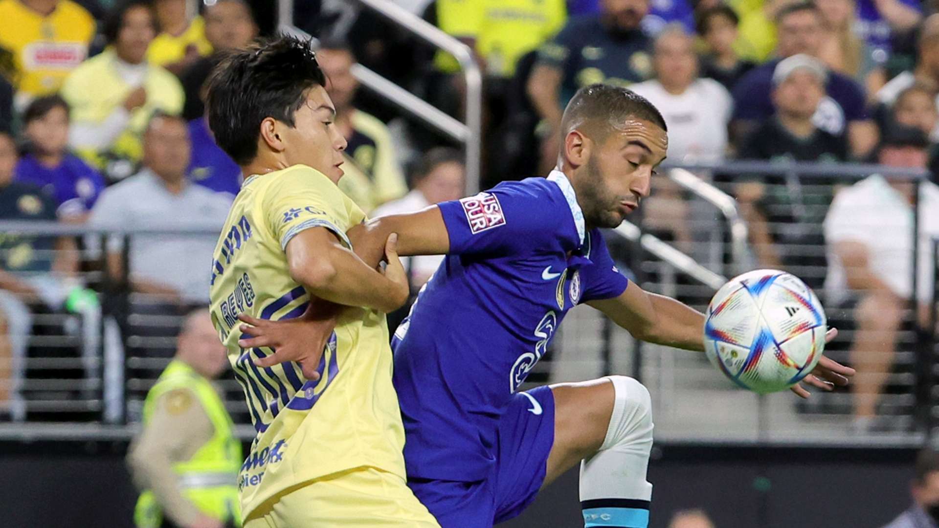 在为团队树 在为团队树