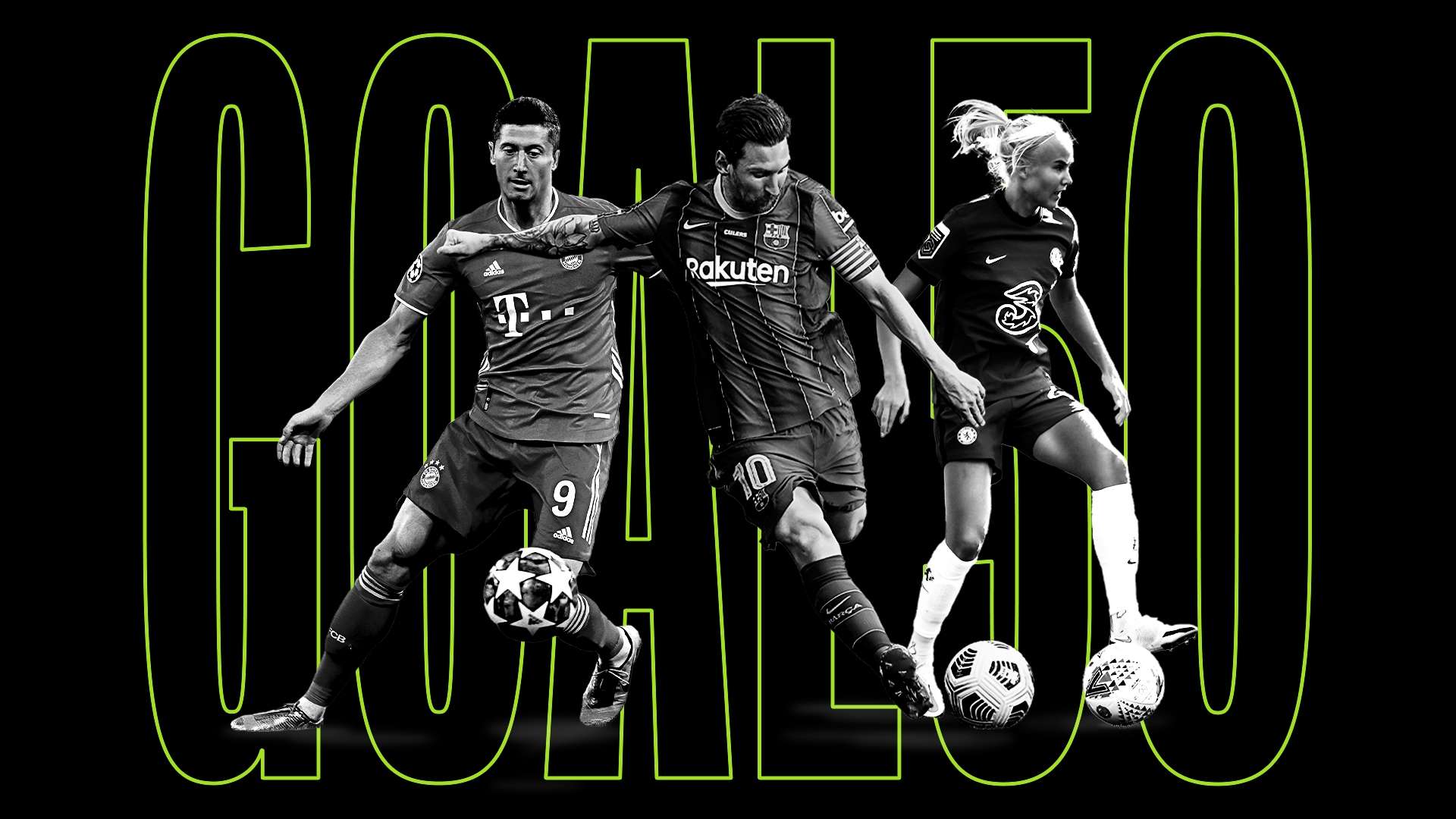 橙衣军团目 橙衣军团目