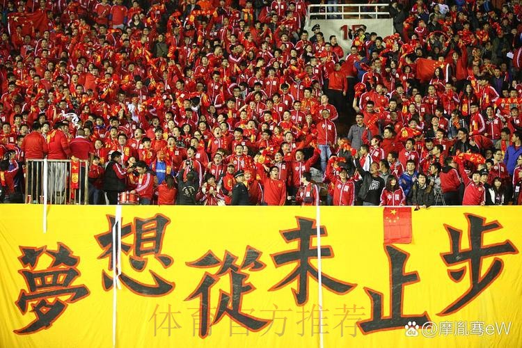 以胜利告别俄罗斯  国足用拼搏赢得尊重